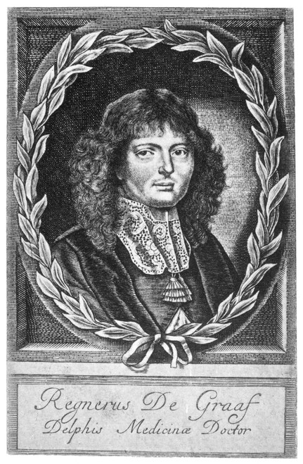 Regnier De Graaf /N(1641-1673). Dutch Physician And Anatomist. Line Engraving, 17Th Century. Poster Print by Granger Collection - Item # VARGRC0059385
