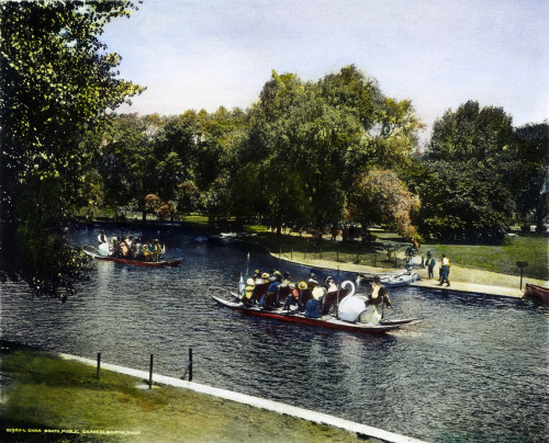 Boston: Swan Boats, C1900. /Nin The Public Gardens: Oil Over A Photograph, C1900. Poster Print by Granger Collection - Item # VARGRC0054613