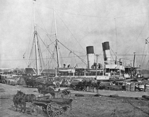 New Orleans, C1890. /Nloading Cotton Onto A Steamer In New Orleans, Louisiana. Photograph, C1890. Poster Print by Granger Collection - Item # VARGRC0353235