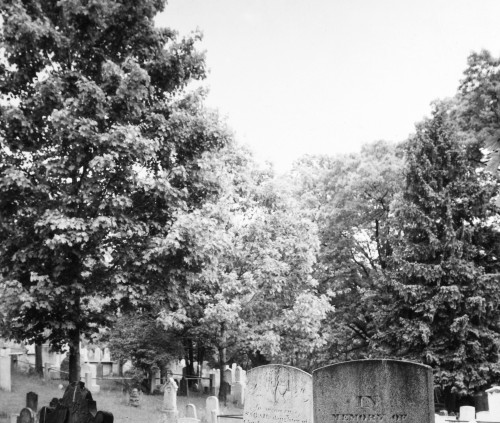 Sleepy Hollow Cemetery. /Nold Sleepy Hollow Cemetery, Sleepy Hollow (Formerly North Tarrytown), New York. Photographed Poster Print by Granger Collection - Item # VARGRC0093973