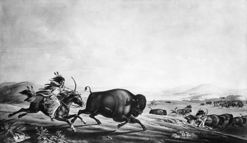 Buffalo Hunt, C1830. /Na Native American Hunter Pursuing A Buffalo On The Great Plains. Watercolor, C1830, By Peter Rindisbacher. Poster Print by Granger Collection