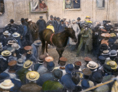 Clever Hans, 1904. /Nclever Hans, The German 'Thinking Horse,' 'Recognizing A Person From His Photograph' While Being Tested At Berlin, Germany, In 1904. Oil Over A Photograph. Poster Print by Granger Collection - Item # VARGRC0037136