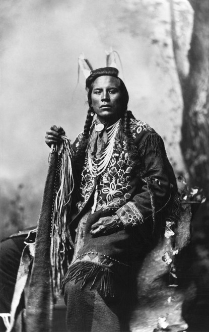 Crow Scout, 1883. /Ncurley, A Crow Native American Scout. Photographed By F. Jay Haynes, 1883. Poster Print by Granger Collection - Item # VARGRC0173272