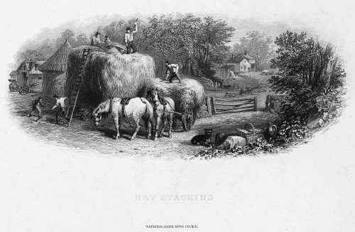 Farming, C1870. /Namerican Bank Note Engraving, C1870. Poster Print by Granger Collection - Item # VARGRC0078034