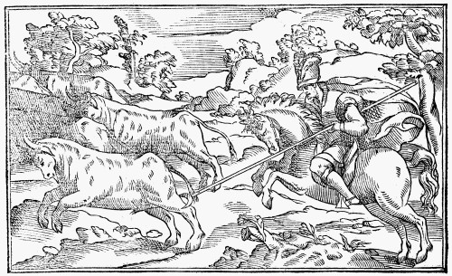 Bull Hunting, 1582. /Na Hunter On Horseback Spearing A Bull. Woodcut From The 'Libro De La Monteria,' By Gonzalo Argote De Molina, 1582. Poster Print by Granger Collection - Item # VARGRC0116251