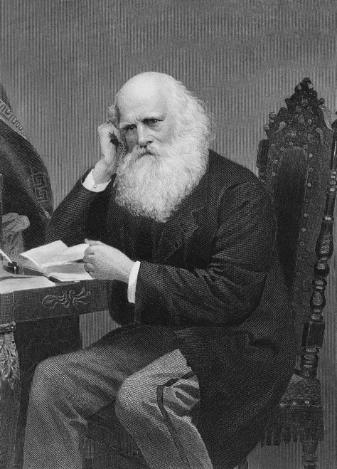William Cullen Bryant /N(1794-1878). American Poet And Editor. Steel Engraving, 19Th Century. Poster Print by Granger Collection - Item # VARGRC0058784