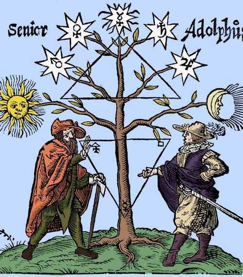 Alchemical Celestial Tree Poster Print by Science Source - Item # VARSCIBN0368