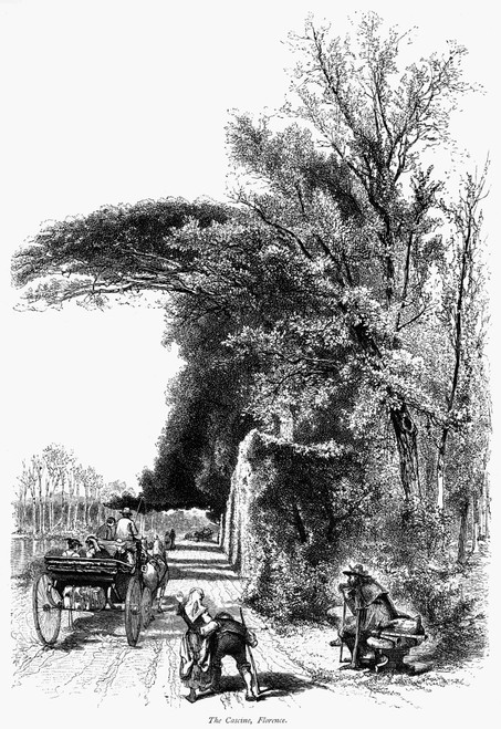 Italy: Florence, C1875. /Nscene In The Cascine Park, Florence, Italy. Wood Engraving, C1875, After Harry Fenn. Poster Print by Granger Collection - Item # VARGRC0078256