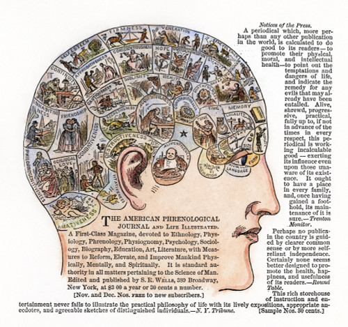 Phrenology, 1867. /Nadvertisement For The 'American Phrenological Journal,' 1867. Poster Print by Granger Collection - Item # VARGRC0008759