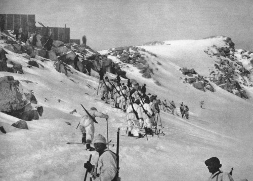 World War I: Alps. /Nitalian Troops On Skis And Clad In White, Marching Through The Alps During World War I. Photograph, C1916. Poster Print by Granger Collection - Item # VARGRC0408043