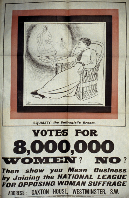Women'S Rights, C1917. /Nposter For The British Women'S National Anti-Suffrage League, C1917. Poster Print by Granger Collection - Item # VARGRC0035182