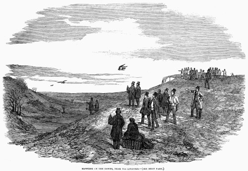 England: Falconry, 1850. /N'Hawking On The Downs, Near Wallingford.' Wood Engraving, English, 1850. Poster Print by Granger Collection - Item # VARGRC0101318