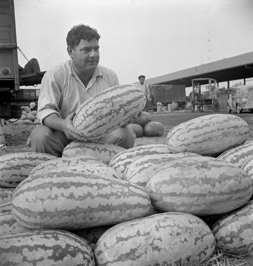 Watermelon Vendor, 1942. /Na Watermelon Vendor At A Farmers' Market In Washington D.C. Photography By Marjory Collins, July 1942. Poster Print by Granger Collection - Item # VARGRC0419879