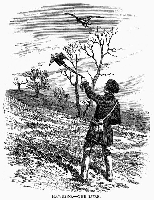 Falconry, 1850. /N'Hawking - The Lure.' Wood Engraving, English, 1850. Poster Print by Granger Collection - Item # VARGRC0101341 Falconry, 1850. /N'Hawking - The Lure.' Wood Engraving, English, 1850. Poster Print by Granger Collection - Item # VARGRC0101341