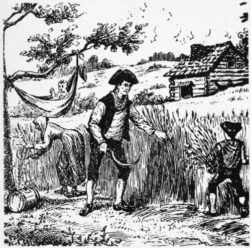 Colonial Farming. /Na Farmer And His Family Harvesting In 18Th Century Colonial America. Wood Engraving, 19Th Century. Poster Print by Granger Collection - Item # VARGRC0067264
