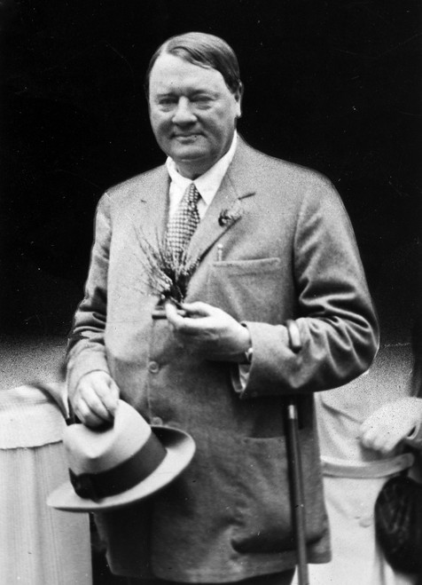 Alfred Harmsworth /N(1865-1922). Viscount Northcliffe. British Publisher And Politician. Poster Print by Granger Collection - Item # VARGRC0069655