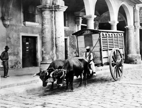 Havana: Meat Vendor, C1903. /Nan Ox-Drawn Meat Wagon In Havana, Cuba, C1903. Poster Print by Granger Collection - Item # VARGRC0126275 Havana: Meat Vendor, C1903. /Nan Ox-Drawn Meat Wagon In Havana, Cuba, C1903. Poster Print by Granger Collection - Item # VARGRC0126275
