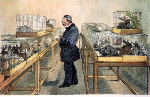 Louis Pasteur (1822-1895). /Nfrench Chemist And Microbiologist. Pasteur In His Laboratory Developing His Treatment For Hydrophobia And Rabies. Wood Engraving, French, 1884. Poster Print by Granger Collection - Item # VARGRC0007993 Louis Pasteur (1822-1895). /Nfrench Chemist And Microbiologist. Pasteur In His Laboratory Developing His Treatment For Hydrophobia And Rabies. Wood Engraving, French, 1884. Poster Print by Granger Collection - Item # VARGRC0007993