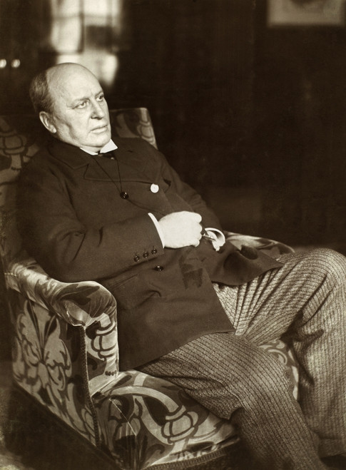 Henry James (1843-1916). /Namerican Novelist. Photographed C1905 In The Library Of Lamb House, His Home At Rye, England. Poster Print by Granger Collection - Item # VARGRC0003491