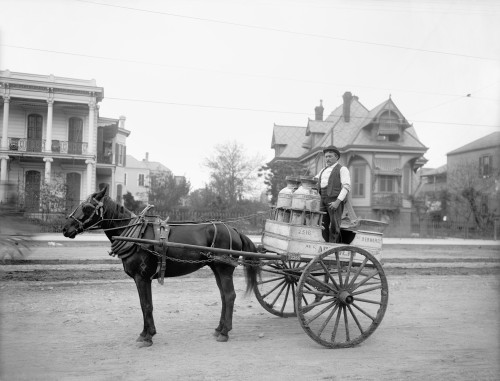 New Orleans: Milk Cart. /Na Milk Cart In New Orleans, Lousiana. Photographed C1905. Poster Print by Granger Collection - Item # VARGRC0131329