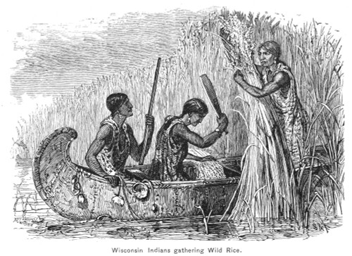 Native Americans: Gathering Rice. /Nwisconsin Native Americans Gathering Wild Rice. Wood Engraving, 19Th Century. Poster Print by Granger Collection - Item # VARGRC0035924