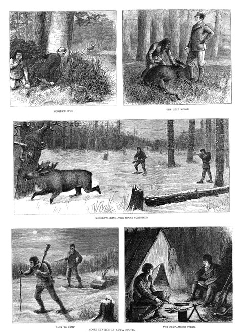 Canada: Moose Hunting, 1878. /N'Moose-Hunting In Nova Scotia.' Engraving, American, 1878. Poster Print by Granger Collection - Item # VARGRC0264540