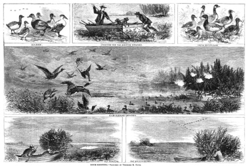 Duck Hunting, 1868. /Nscenes Of Ducks And Duck Hunters. Wood Engraving, American, 1868. Poster Print by Granger Collection - Item # VARGRC0264599