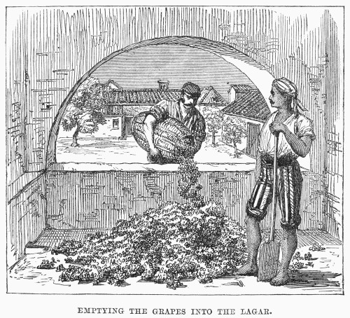 Spain: Sherry Production. /N'Emptying The Grapes Into The Lagar.' Winery In Jerez, Spain. 19Th Century Engraving. Poster Print by Granger Collection - Item # VARGRC0091965