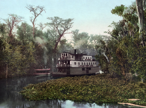 Florida: Steamboat, C1902. /Na Passenger Steamboat On Ocklawaha River, Floridia. Photochrome, C1902. Poster Print by Granger Collection - Item # VARGRC0119748