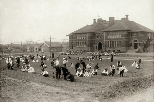 Hine: School Garden, 1917. /Nschool Children Planting A Large Garden In The Front Yard Of Jefferson School, Muskogee, Oklahoma. Photograph By Lewis W. Hine, March 1917. Poster Print by Granger Collection - Item # VARGRC0121945