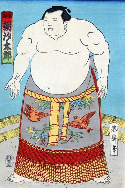 Japan: Sumo Wrestler. /Nasashio Taro, A Sumo Wrestler Wearing A Waist Wrap With Birds And Bamboo. Color Woodcut, C1868-1900. Poster Print by Granger Collection - Item # VARGRC0113501