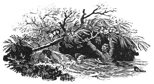 Bewick: Man Drowning. /Nwood Engraving, Early 19Th Century, By Thomas Bewick (1753-1828). Poster Print by Granger Collection - Item # VARGRC0077874