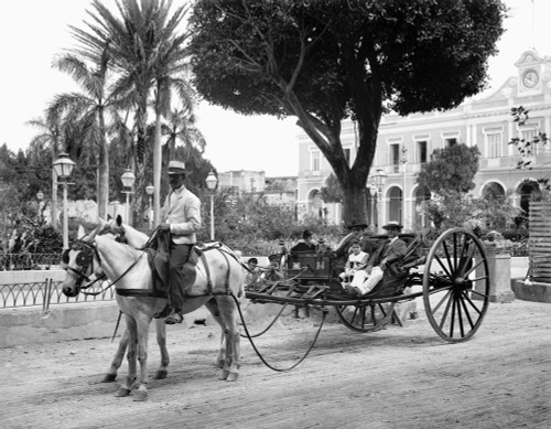 Havana: Carriage, C1904. /Nvolante Carriage In Havana, Cuba. Photograph, C1904. Poster Print by Granger Collection - Item # VARGRC0126269