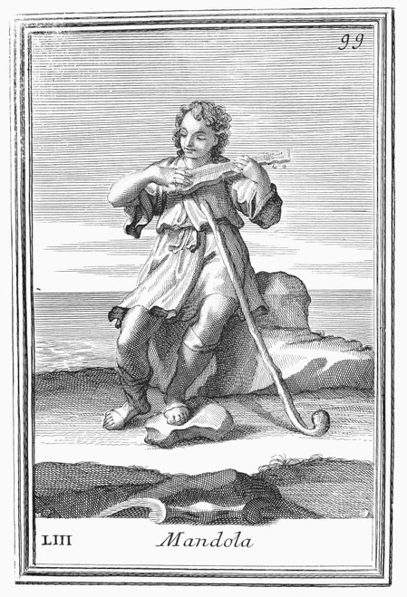 Guitar, 1723. /Na Small Guitar (But Not A Mandolin). Copper Engraving, 1723, By Arnold Van Westerhout. Poster Print by Granger Collection - Item # VARGRC0079854