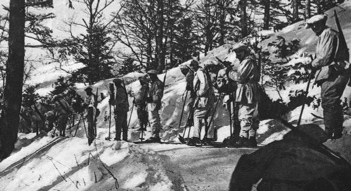 World War I: Chasseurs. /Nfrench Alpine Chasseurs Dressed In White And On Skis In The Vosges Mountains During World War I. Photograph, C1916. Poster Print by Granger Collection - Item # VARGRC0407974