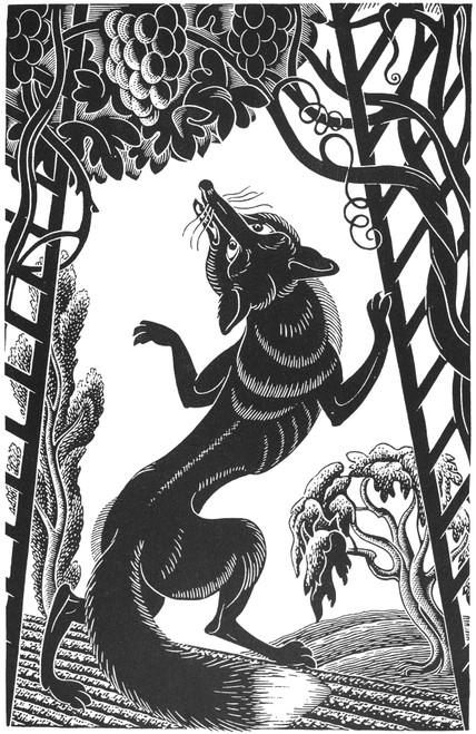 Aesop: Fox & Grapes. /N'The Fox And The Grapes.' Woodcut By Boris Artzybasheff (1899-1965). Poster Print by Granger Collection - Item # VARGRC0042927