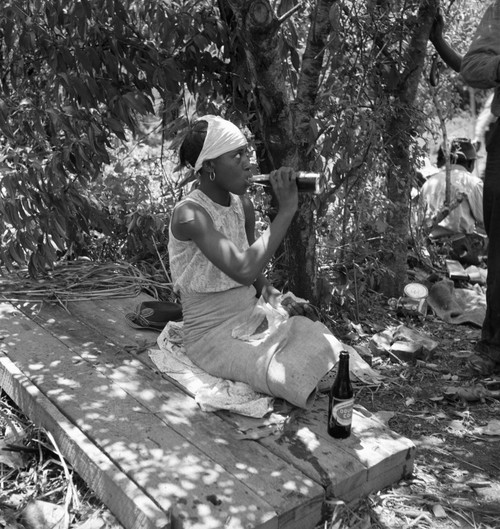 Cotton Worker, 1937. /Nan African American Cotton Hoer Drinking A Bottle Of Soda During Lunchtime In The Mississippi Delta. Photograph By Dorothea Lange, June 1937. Poster Print by Granger Collection - Item # VARGRC0123097 Cotton Worker, 1937. /Nan African American Cotton Hoer Drinking A Bottle Of Soda During Lunchtime In The Mississippi Delta. Photograph By Dorothea Lange, June 1937. Poster Print by Granger Collection - Item # VARGRC0123097