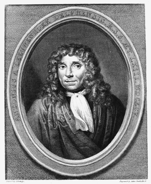 Anton Van Leeuwenhoek /N(1632-1723). Dutch Naturalist. At Age 63. Copper Engraving, English, 1800. Poster Print by Granger Collection - Item # VARGRC0004209