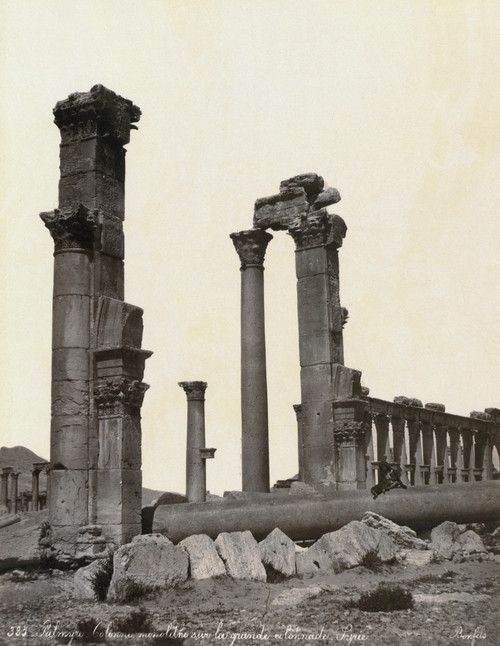 Palmyra: Colonnade. /Nruins Of A Colonnade At Palmyra, Syria. Photograph, Late 19Th Century. Poster Print by Granger Collection - Item # VARGRC0129077