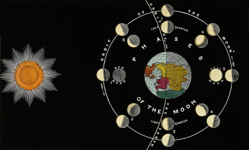 Phases of the Moon, 1846 Poster Print by Science Source - Item # VARSCIJA0081
