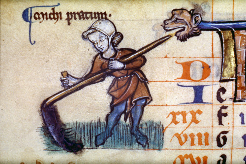 Cutting Hay With A Scythe. /Nenglish Manuscript Illumination, Late 13Th Century. Poster Print by Granger Collection - Item # VARGRC0023885