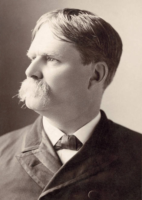 Henry Watterson (1840-1921). American Journalist And Politician. Editor Of The 'Courier-Journal'. Original Cabinet Photograph, C1885. Poster Print by Granger Collection - Item # VARGRC0071785