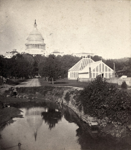 D.C.: Botanic Gardens. /Nthe United States Botanic Gardens In Washington D.C. Photograph, C1865. Poster Print by Granger Collection - Item # VARGRC0176228