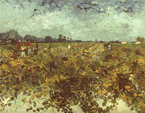 Van Gogh: Vineyard, 1888. /Nthe Green Vineyard. Canvas, September 1888, By Vincent Van Gogh. Poster Print by Granger Collection - Item # VARGRC0029744 Van Gogh: Vineyard, 1888. /Nthe Green Vineyard. Canvas, September 1888, By Vincent Van Gogh. Poster Print by Granger Collection - Item # VARGRC0029744