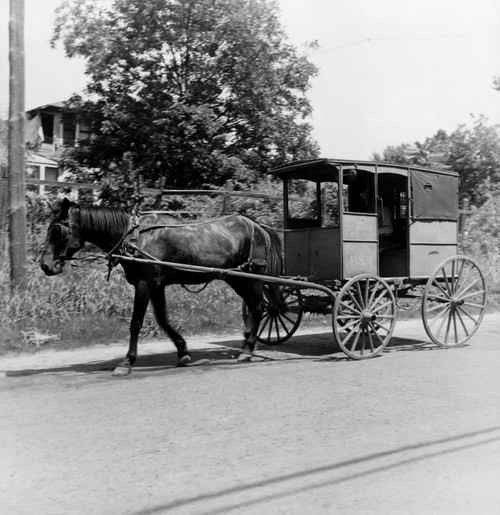 Texas: Mail Wagon, 1937. /Na Horse Drawn Mail Wagon In Marshall, Texas. Photograph By Dorothea Lange, June 1937. Poster Print by Granger Collection - Item # VARGRC0123470
