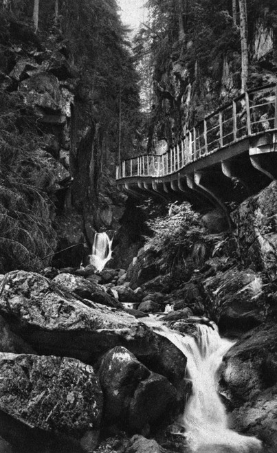 Germany: Riesengebirge. /Npath In The Riesengebirge Mountain Range, Germany. Photograph, C1900. Poster Print by Granger Collection - Item # VARGRC0433594