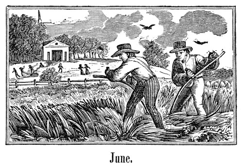 Farmers Mowing. /Ntwo Farmers Mowing Hay With Scythes. Wood Engraving, 19Th Century. Poster Print by Granger Collection - Item # VARGRC0323079 Farmers Mowing. /Ntwo Farmers Mowing Hay With Scythes. Wood Engraving, 19Th Century. Poster Print by Granger Collection - Item # VARGRC0323079