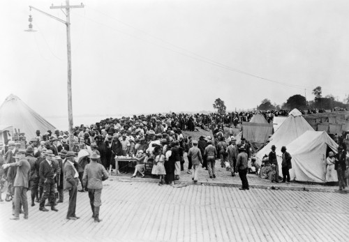 Mississippi Flood, 1927. /Nafrican Americans Flood Refugees Waiting For Vaccinations At A Red Cross Relief Camp In Greenville, Mississippi. Photograph, May 1927. Poster Print by Granger Collection - Item # VARGRC0325568