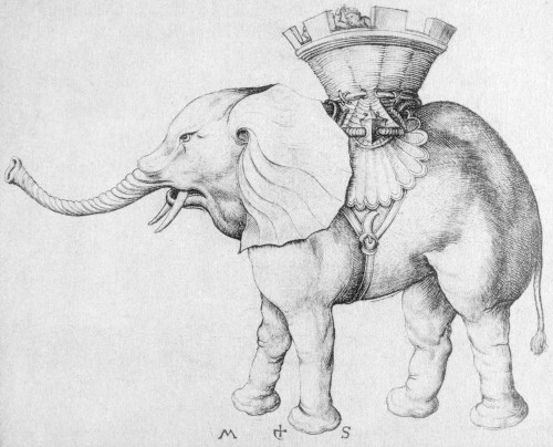 Schongauer: The Elephant. /Nline Engraving By Martin Schongauer, 15Th Century. Poster Print by Granger Collection - Item # VARGRC0101758