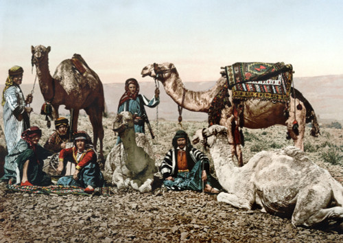 Middle East: Travelers. /Na Group Of Travelers And Their Camels Resting In The Desert. Photochrome, C1895. Poster Print by Granger Collection - Item # VARGRC0113207